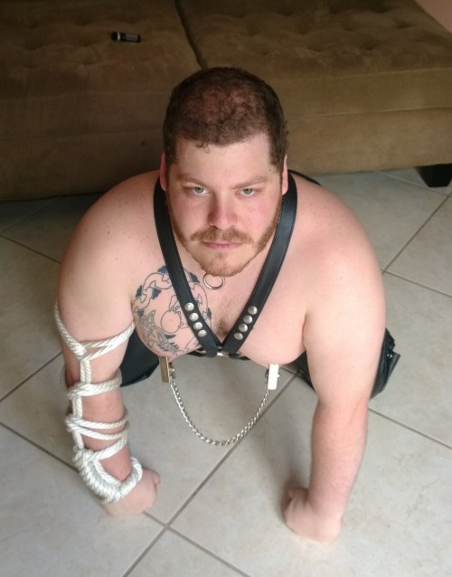 pupkoga:  Me, Pup Koga 