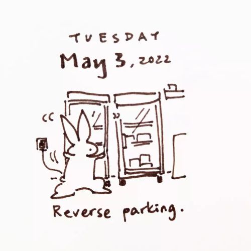 Shimmy to the right spot #abunaday #daily #bunny #doodle #shimmy #reverseparking #一日一兔 #倒车 #桥好位置 #左摇