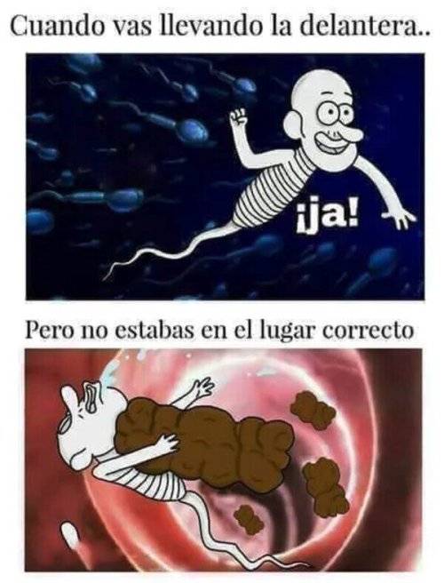 De nuevo el nuevo topic de las polleces encontradas por ahí - Página 7 B2eee64d7af4fe303c5a6a89272f05903657eb46