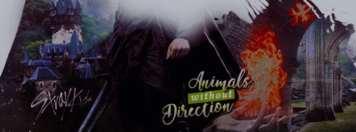 Animals Without Direction Masterlist