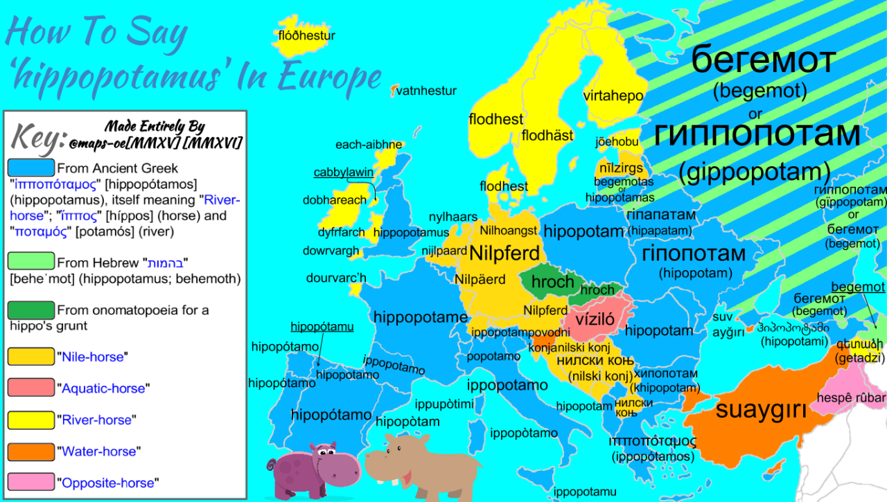 maps-oe:
“ How to Say ‘hippopotamus’ in Europe with Complete Etymology  Follow for more language maps of Europe Here
”