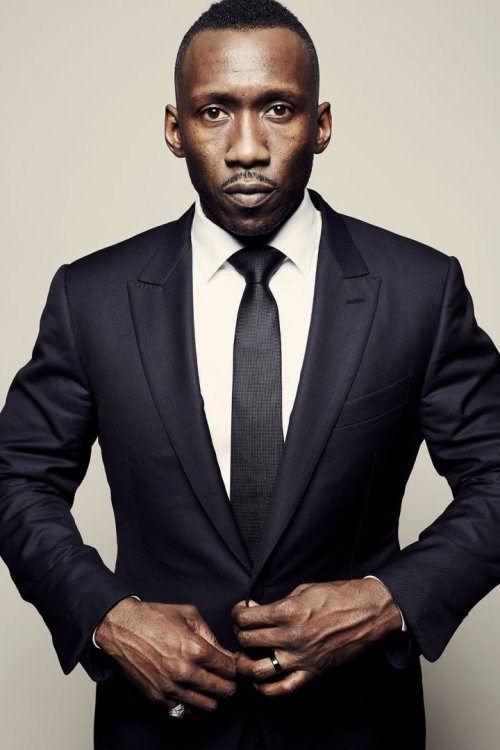 boyega-john:  Portaits of Andre Holland, Ashton Sanders, Alex Hibbert and Mahershala Ali from the movie ‘Moonlight’ at the 2016 New York Film Festival