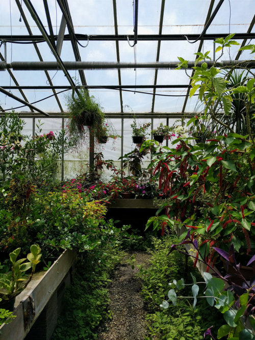 olena:The greenhouses at Ott’s Exotic Plants near Philly. I LOVE this place! It’s l