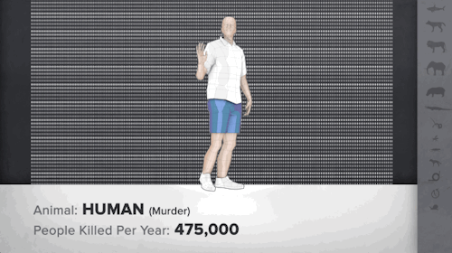 good:  It’s Shark Week! That time of year where television networks pretend sharks are the most dangerous animal out there. Here we compare how many people are killed by sharks per year versus the two deadliest animals for humans - mosquitos and other