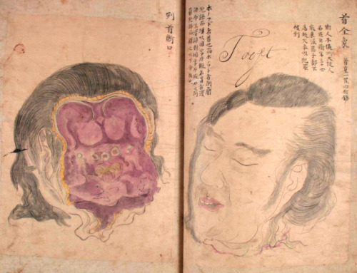 fuckyeahmedicalstuff: Seyakuin Kainan Taizōzu (circa 1798) These illustrations are from the book ent