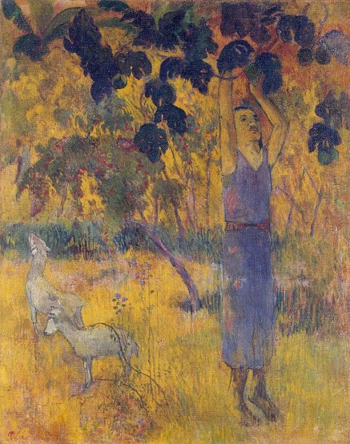 polyeucte-de-melitena:  Paul Gauguin (French, 1848-1903), Man Picking Fruit from a Tree, 1897. Oil on canvas, 92.5 x 73.3 cm. 