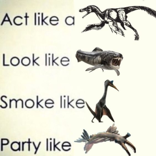 Black text and pictures of various prehistoric creatures on an off-white background. The first line reads "Act like a" with a picture of a velociraptor. The second line reads "Look like" with a picture of a dunkleosteus. The third line reads "Smoke like" with a picture of a quetzalcoatlus. The fourth line reads "Party like" with a picture of an anomalocaris.