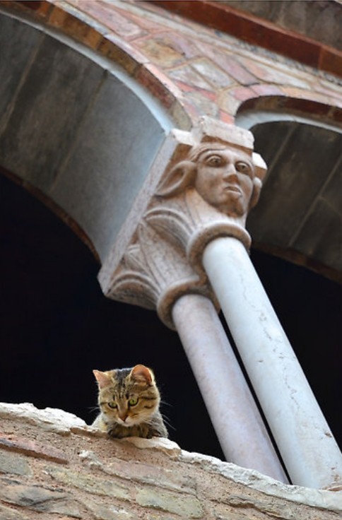 mostlycatsmostly:  People watching at the Basilica di Santo Stefano, Bologna, Italy.