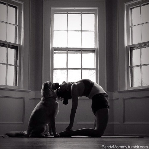 Ustrasana, Camel Pose.