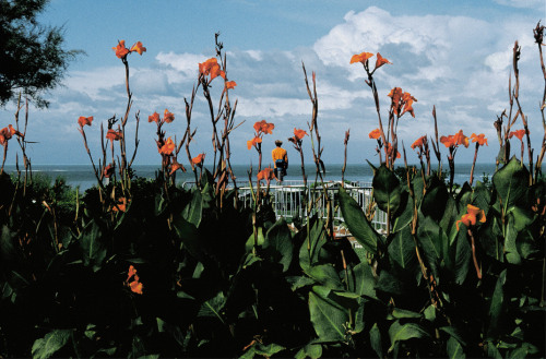 20aliens:  FRANCE. Aquitaine region. Pyrenees-Atlantiques department. Town of Biarritz. 2000. By Harry Gruyaert. 