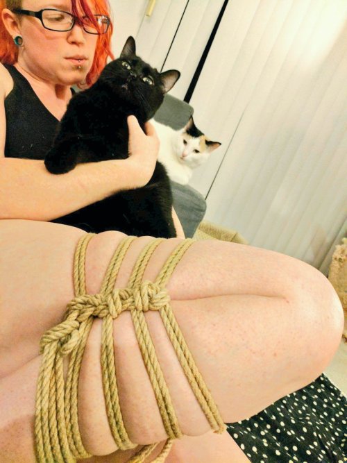 The cats think rope is for them.  (Pic &amp; rope by @mister-polite )