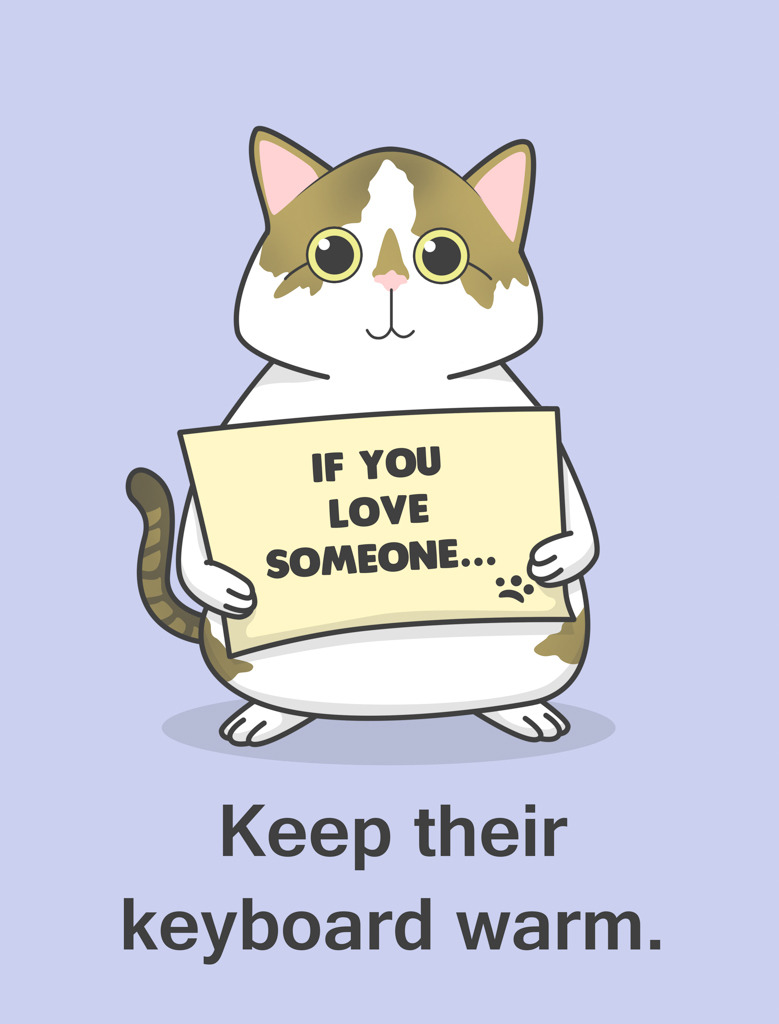 aimeetrawick:  Hoppy Cat shares advice on showing affection!  