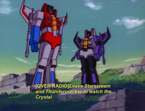 thesassformers: bye