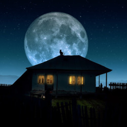 moonipulations:  Full moon rising over a house, and a cat on the roof enjoys the view. Photo manipulation by Caras …