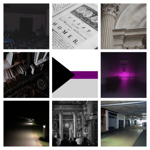 Dark Academia and Liminal Spaces based Demisexual moodboard~ ^^For an anon!! Hope you like it~Want o