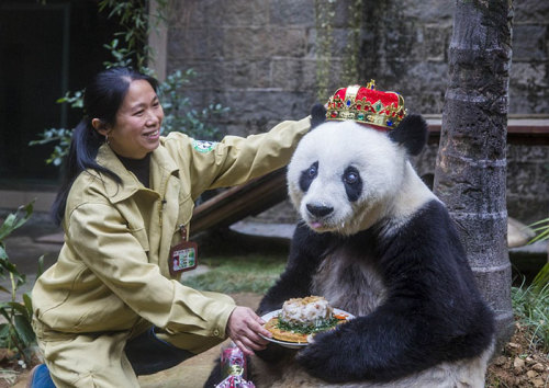 Porn photo awesome-picz:    Pets Having Better Birthday