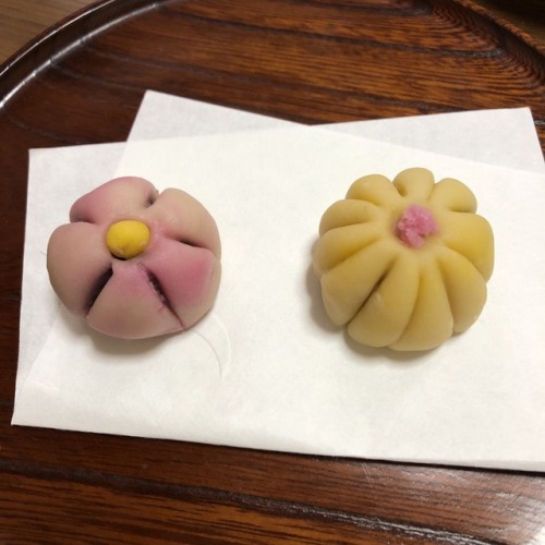 和菓子先週末に和菓子を作りましたお花の形を模した和菓子丸っとしたフォルムにテンションが上がりますクチナシの黄色ビーツのピンク優しいカラフルさにもワクワク着物だけでなく、和菓子からも季節が感じられますね