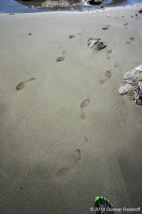 8.7.2014 - day 6 on the West Coast Trail - the last morning on the trail.#BC #Canada #VancouverIslan