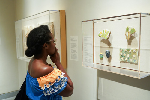 Visual artist Temitayo Ogunbiyi visited the galleries and reserves of the Brooklyn Museum this summe