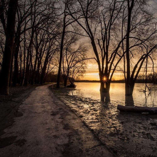 This morning I decided to head to the Maumee River to get some shots of the sunrise. It was a spot a