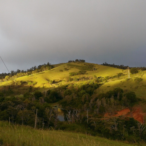 Dusk on Flickr.Dusk at Eungella