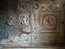 classical-beauty-of-the-past: 	Pompeian Ceiling by Jan    	