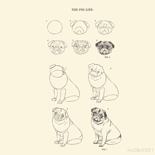 huebucket:  How to Draw The Pug Life {id 307} by Huebucket