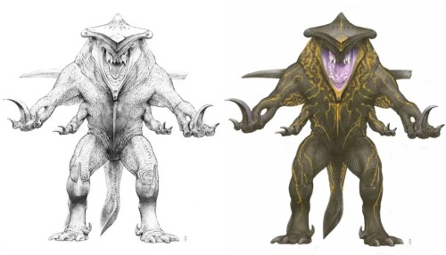 Knifehead Appreciation Post
