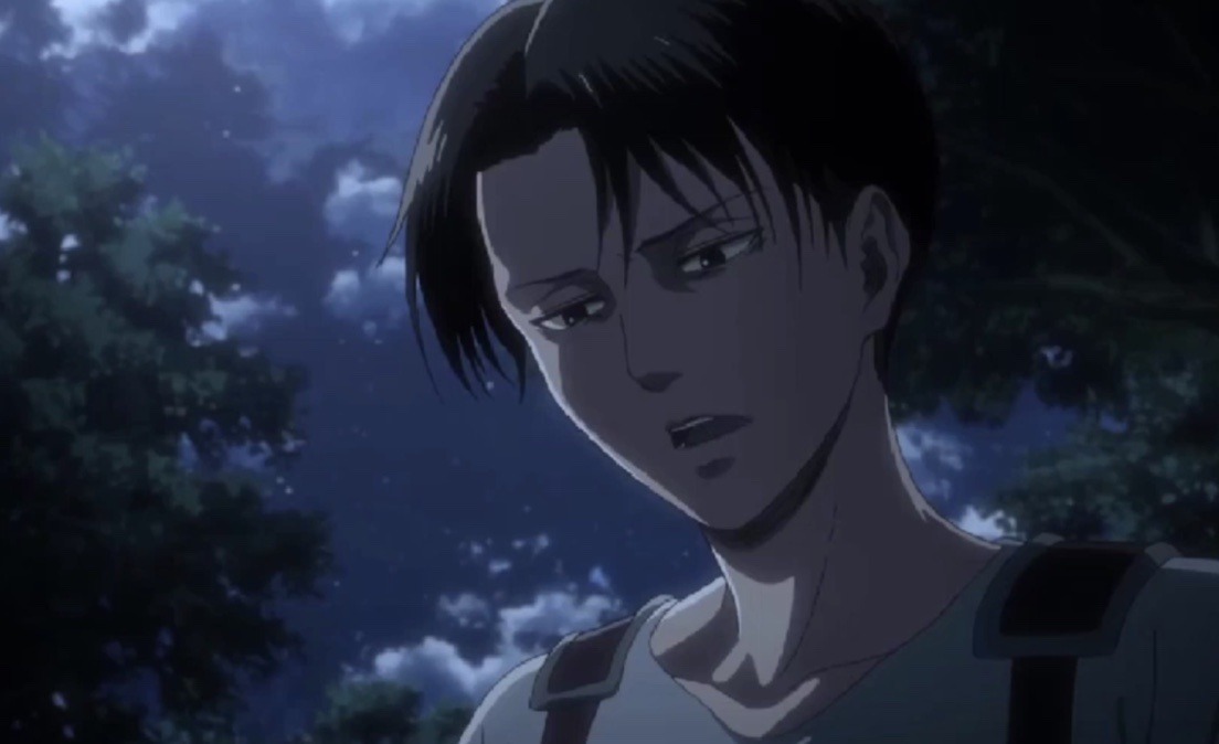 pix Levi Ackerman Pfp what about headcanons on erwin and levi