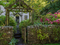 outdoormagic:  Buck’s Mills Cottage by
