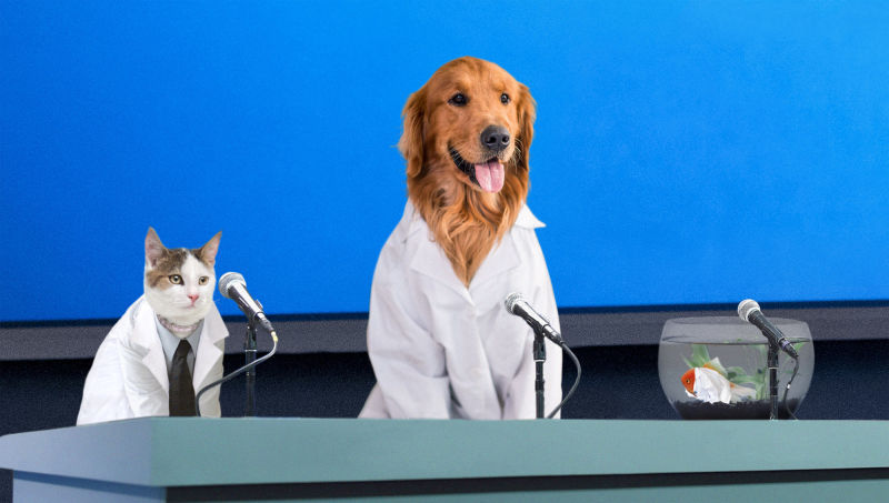   Pet Researchers Confirm 100% Of Owners Who Leave For Work Never Coming Back  WASHINGTON—Announcing