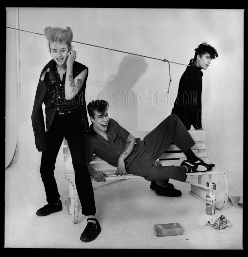 XXX k-a-t-i-e-:  Stray Cats  photo