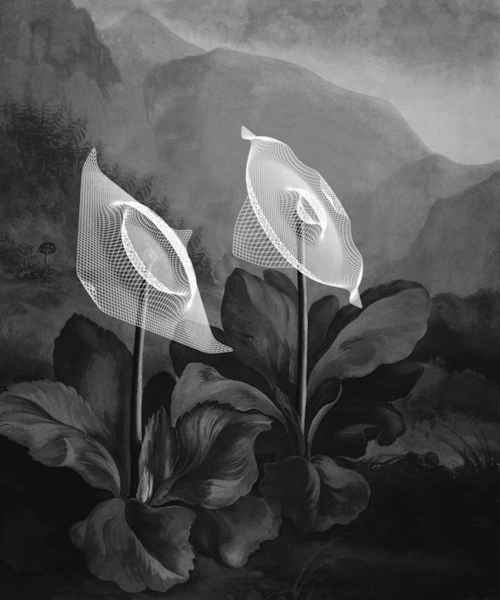 itscolossal:  Artist Bill Domonkos Remixes Archival Footage and Photos into Surreal Animations