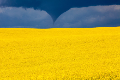 thealienemily: Tornado Touchdown by Steven Bulman Via Flickr: We had a Tornado touchdown south and w