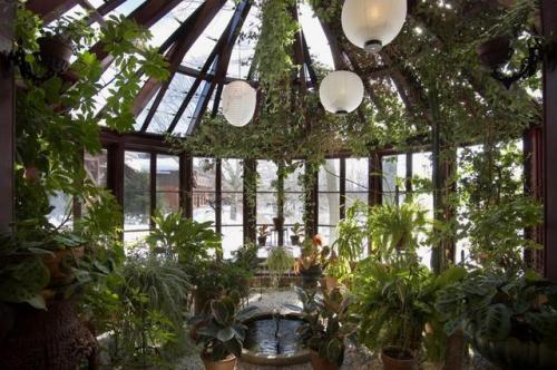 solarpunk-aesthetic:The conservatory in the Mark Twain House & Museum