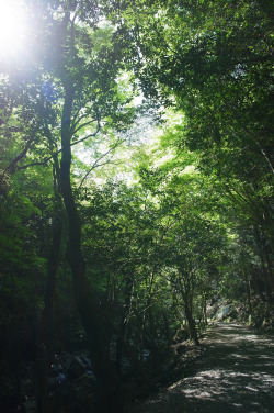 vacants:  20120505 Kuragari ravine 1 (by