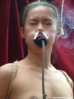 Die Raucherentwöhnungskurse Von Smokeex Sind Vor Allem Bei Masochistinnen Sehr Beliebt,