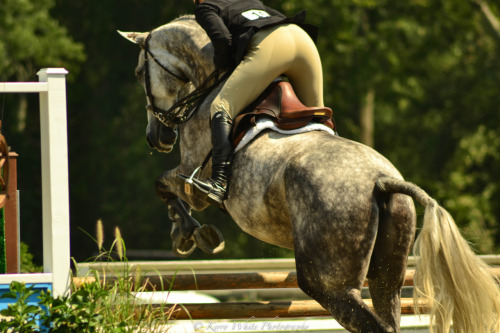 Kerry is a young photographer known for publishing competiton shots on Tumblr. Her equestrian world 