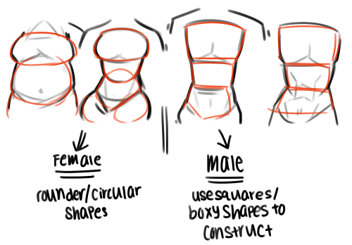 phailetdoesart:  First of all, I’m not an art student/anatomy expert/seasoned professional so some of these methods might be pretty questionable and might not be the recommended way to go about drawing stuff But anyway yeah here’s a bunch of things