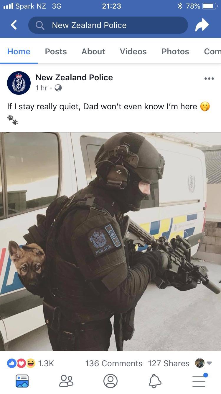 doggos-with-jobs:  Puppersquad