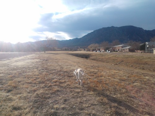 My pictures from the last couple days. I’m really enjoying the colder weather