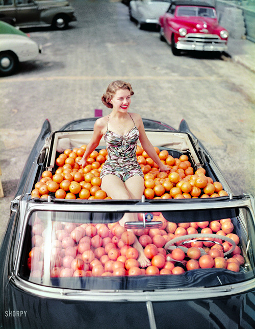 vintagegal:  Swimsuit model in Cadillac convertible filled with oranges c. 1951 (via) 