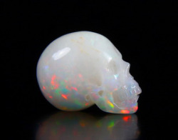 mineralists:  Opal Carved Crystal Skull by Skullis. Very cool!! 