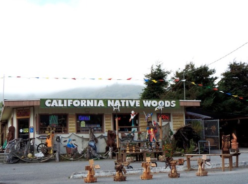 Tourist Treasures, “California Native Woods,” Orick, Humboldt County, California, 2014.