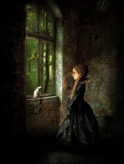 enchantedbook: Secret moment by Anita Animur