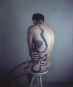 mattystanfield:  Man with Octopus Tattoo II Photograph | Richard Learoyd | 2011 