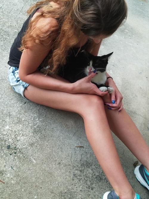 One of my many talents is befriending stray cats