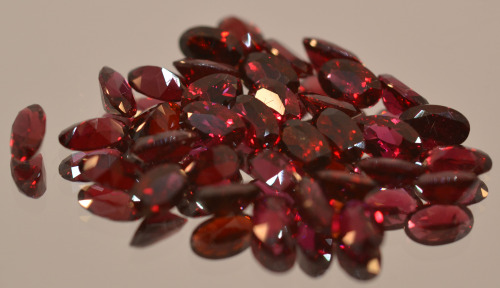 sixpenceee:  Arizona pyrope garnet is called ant adult photos