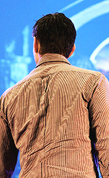 jensackles: ‘why am i so attracted to your back?’ - the photoset (x;x) 