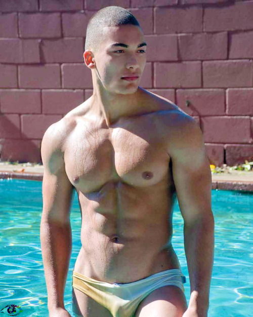 UndieDude